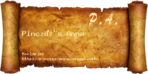 Pinczés Anna névjegykártya